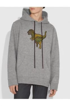 Coach Hoodies & Sweatvesten Sweatshirt Gray -Coach Verkoop 161bd9e300c56e1ae9fe5e290e6d6993