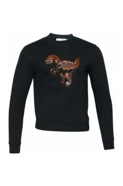 Coach Hoodies & Sweatvesten Hoodie Black