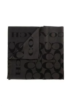 Coach Sjaals Winter Scarves Gray