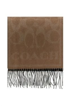 Coach Sjaals Winter Scarves Brown -Coach Verkoop 4bb1bc1b367ff2e0b3b1758ba177f41b