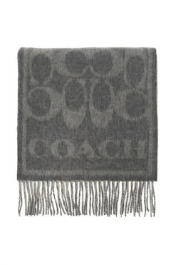 Coach Sjaals Winter Scarves Gray -Coach Verkoop 5fcadc331d9e49d2bab324a5c88d5b76