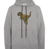 Coach Hoodies & Sweatvesten Sweatshirt Gray -Coach Verkoop a3d0278f3c3ff62ead4663cece3db51d