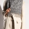 Coach Sjaals Winter Scarves Gray