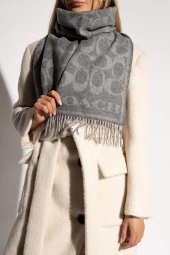 Coach Sjaals Winter Scarves Gray
