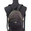 Coach Rugzakken Backpacks Brown -Coach Verkoop d29b3d73a4a5d1b410155314ee14c496