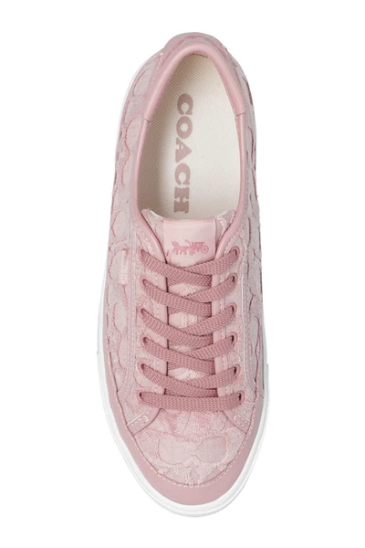 Coach Citysole Sneakers Pink 6 Coach Citysole Sneakers Pink - Afbeelding 4