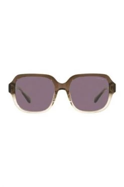 Coach Zonnebrillen Sunglasses Brown